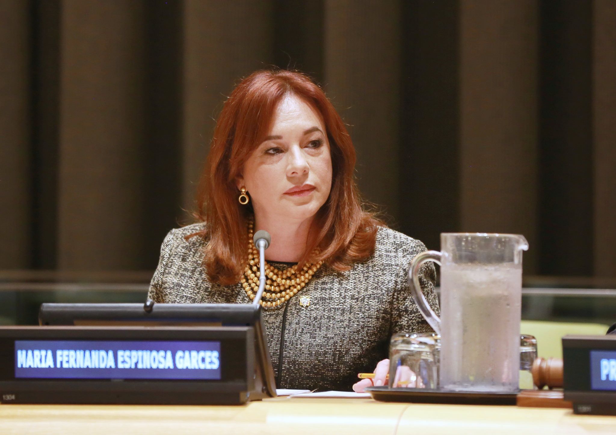 Photo of María Fernanda Espinosa presidirá la ONU