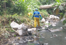 Photo of Recolectan basura de quebradas de los ríos en Santo Domingo